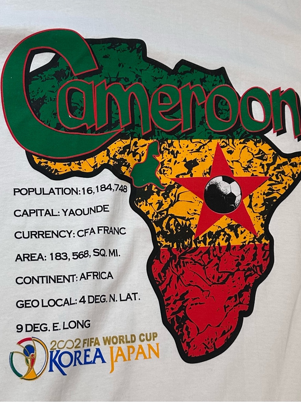 Vintage Y2K 2002 FIFA World Cup Cameroon Graphic Tee